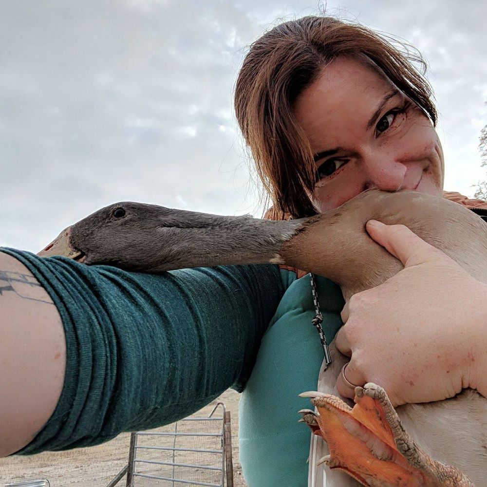 Meet your Posher, Kristin